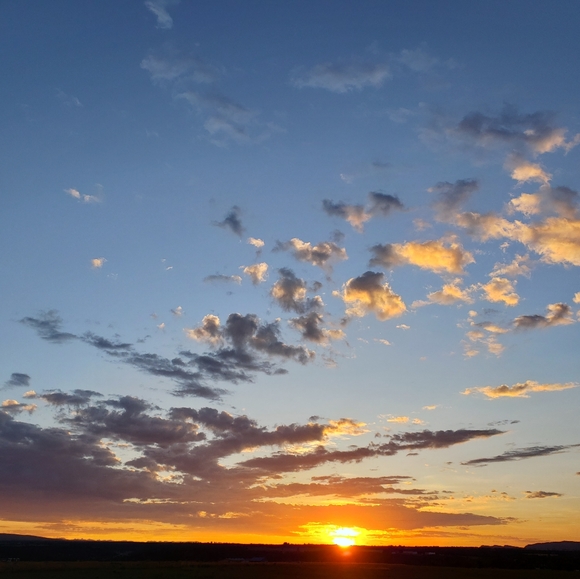 Meet your Posher, TK - Picture 1 of 1